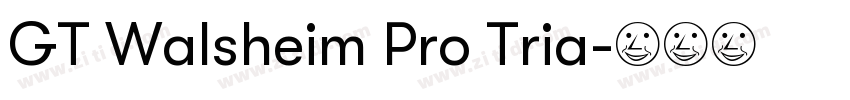 GT Walsheim Pro Tria字体转换